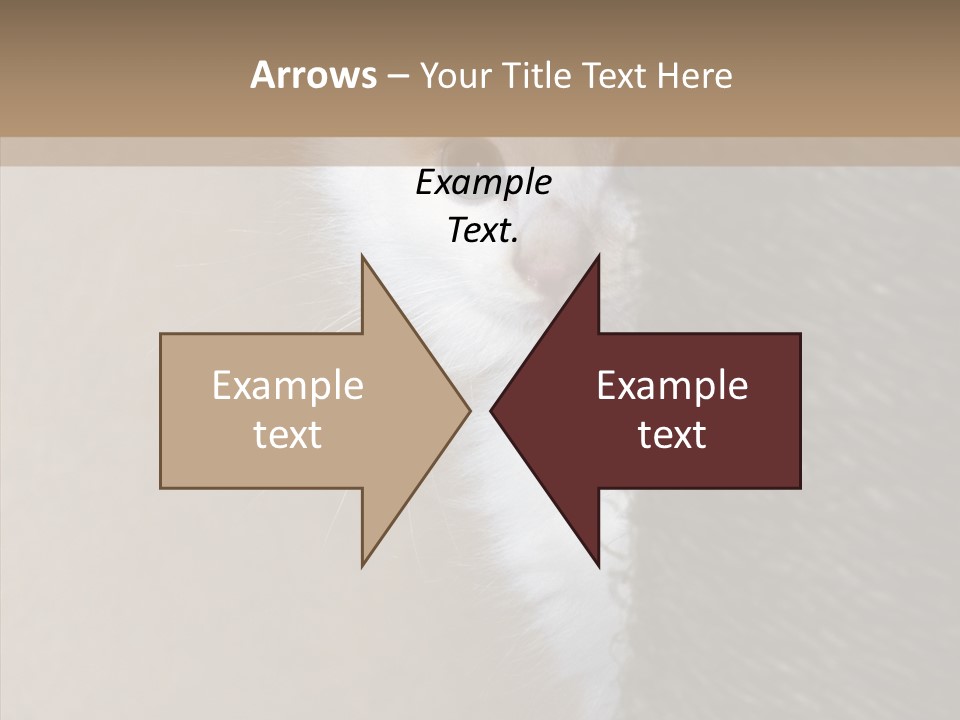 Fluffy Post Hiding PowerPoint Template