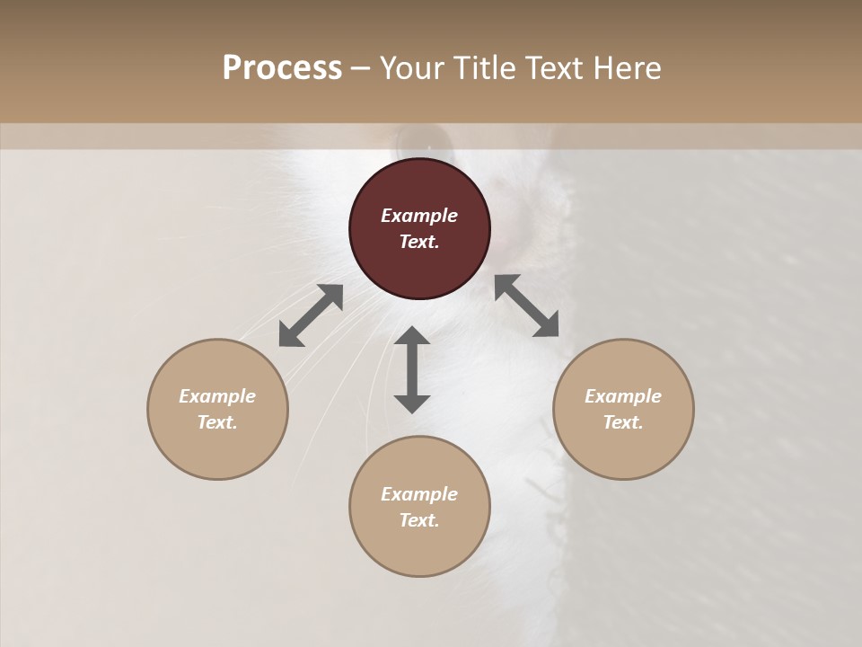 Fluffy Post Hiding PowerPoint Template