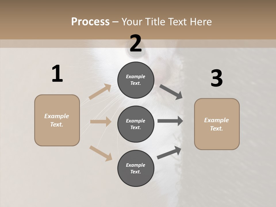 Fluffy Post Hiding PowerPoint Template