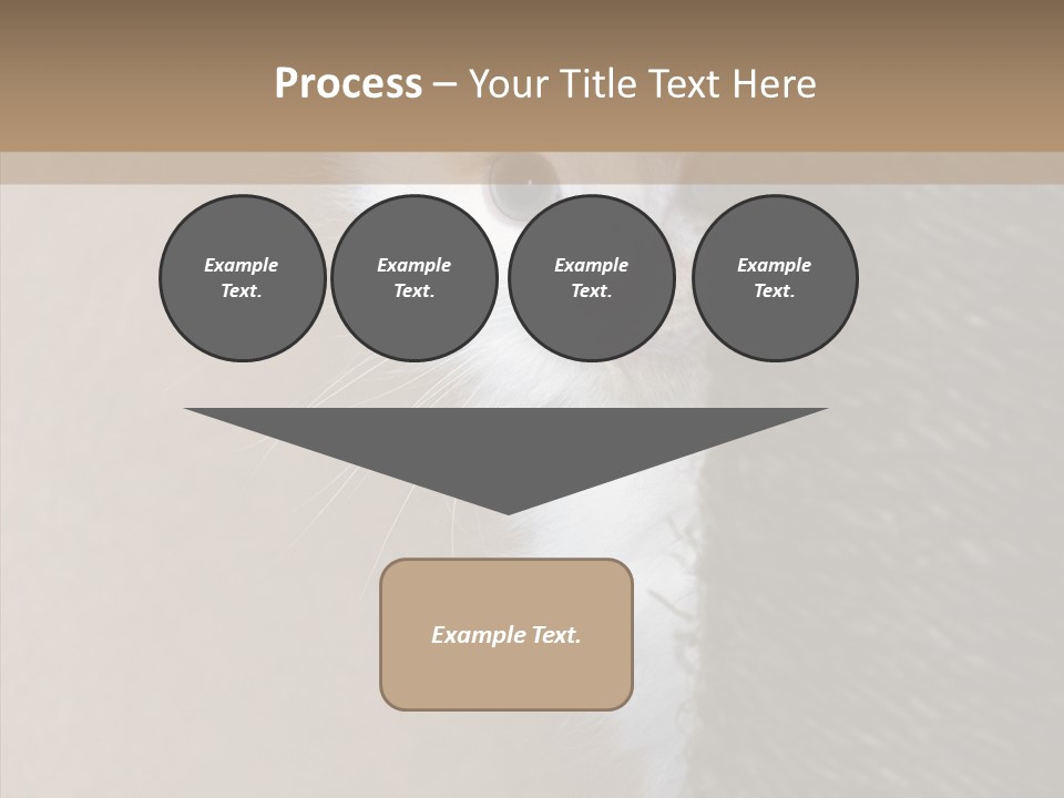 Fluffy Post Hiding PowerPoint Template