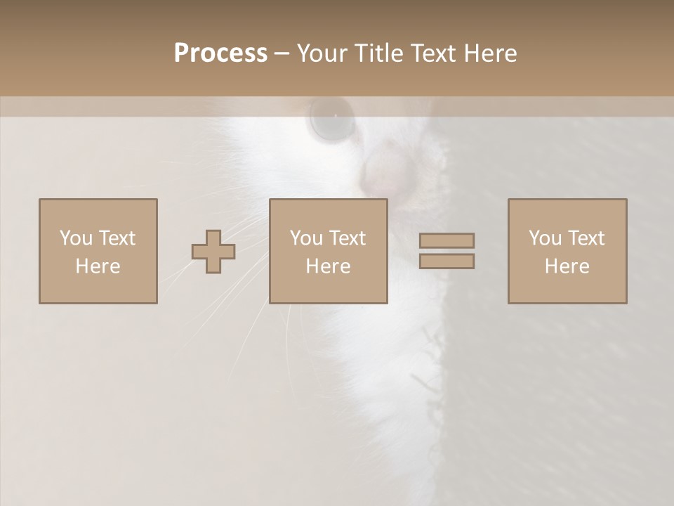 Fluffy Post Hiding PowerPoint Template