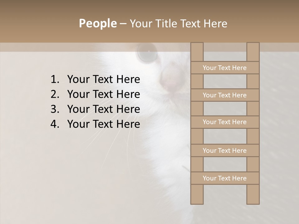 Fluffy Post Hiding PowerPoint Template
