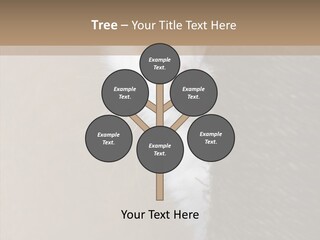 Fluffy Post Hiding PowerPoint Template