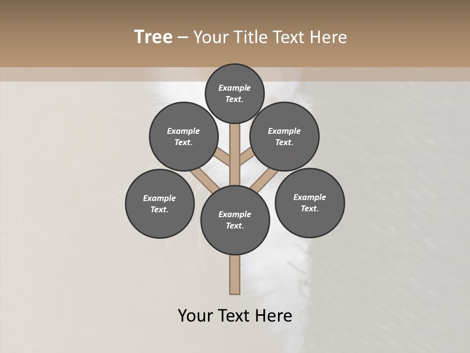 Fluffy Post Hiding PowerPoint Template