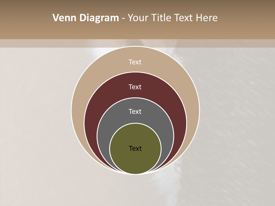 Fluffy Post Hiding PowerPoint Template