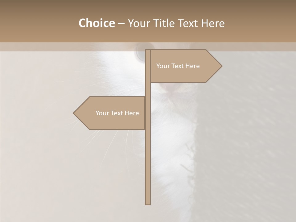 Fluffy Post Hiding PowerPoint Template