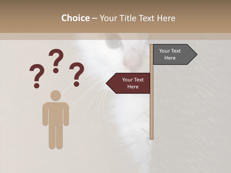 Fluffy Post Hiding PowerPoint Template