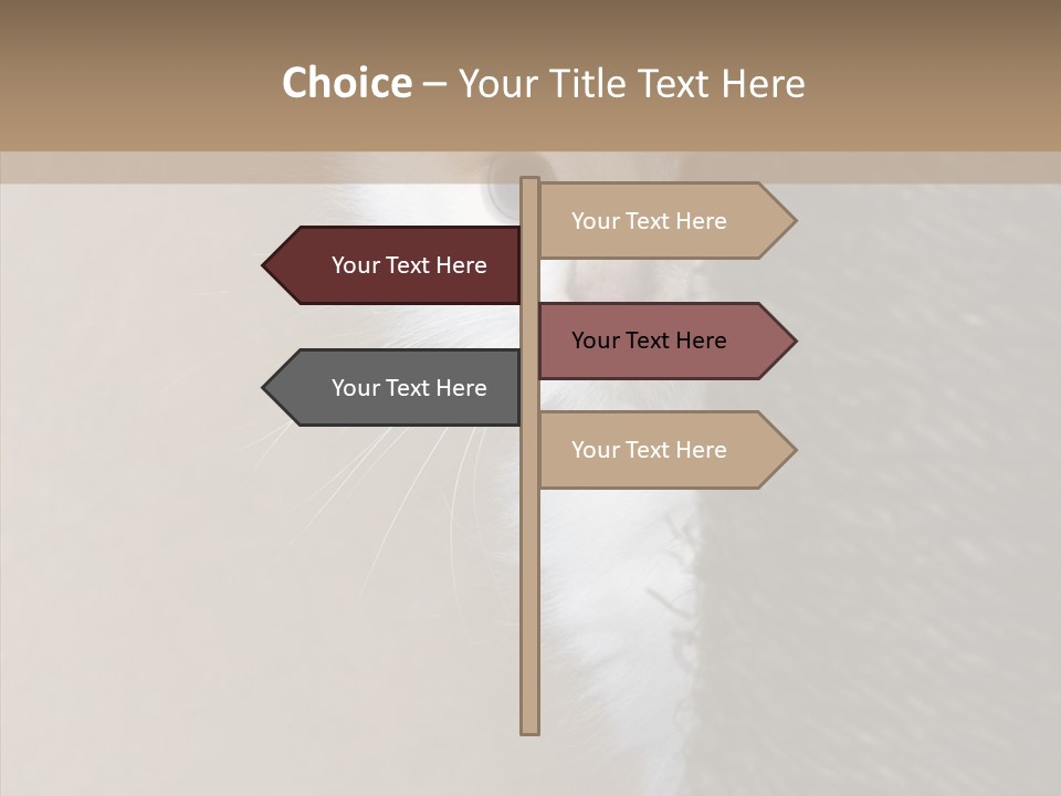 Fluffy Post Hiding PowerPoint Template