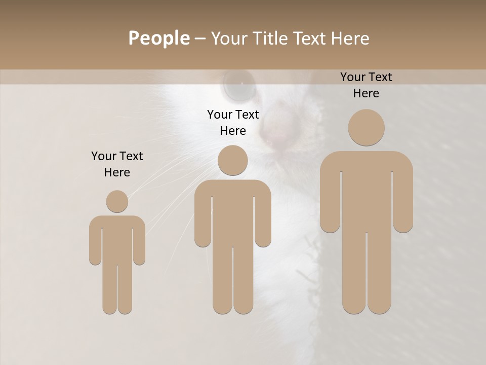 Fluffy Post Hiding PowerPoint Template