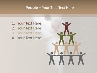Fluffy Post Hiding PowerPoint Template