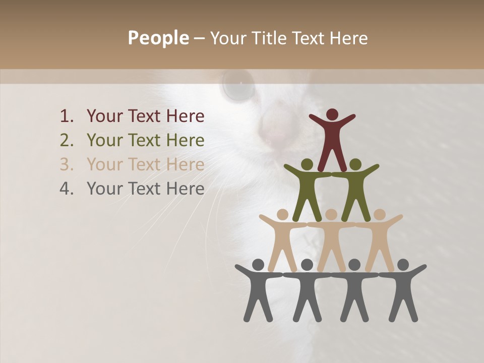 Fluffy Post Hiding PowerPoint Template