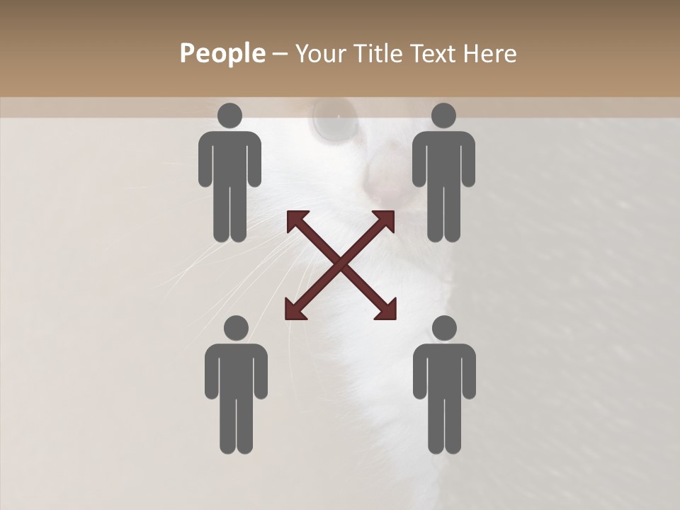 Fluffy Post Hiding PowerPoint Template