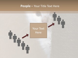 Fluffy Post Hiding PowerPoint Template
