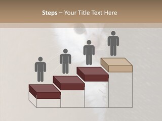 Fluffy Post Hiding PowerPoint Template