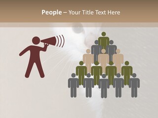 Fluffy Post Hiding PowerPoint Template