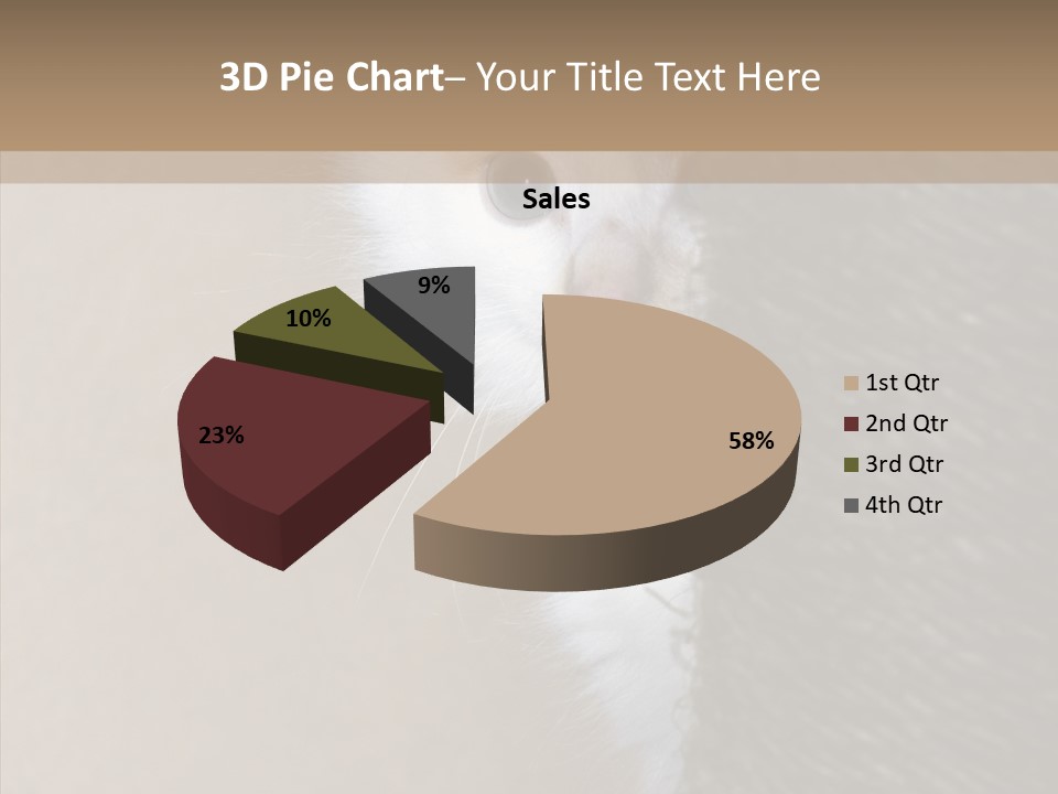 Fluffy Post Hiding PowerPoint Template