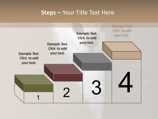 Fluffy Post Hiding PowerPoint Template