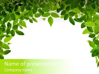 Atop Background Embellish PowerPoint Template