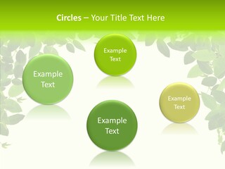 Atop Background Embellish PowerPoint Template