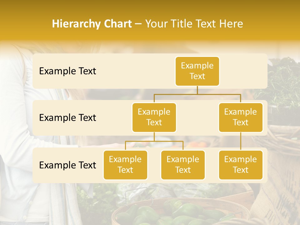 Conference Management Meeting PowerPoint Template