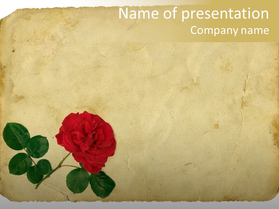 Old Blossom Stain PowerPoint Template
