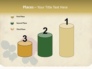 Old Blossom Stain PowerPoint Template