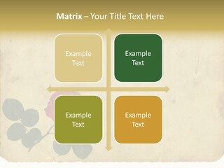 Old Blossom Stain PowerPoint Template