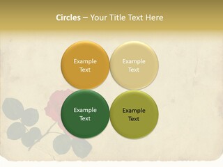 Old Blossom Stain PowerPoint Template