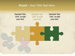 Old Blossom Stain PowerPoint Template