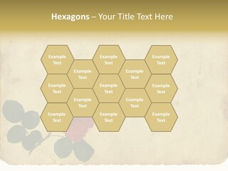 Old Blossom Stain PowerPoint Template