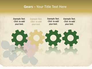Old Blossom Stain PowerPoint Template
