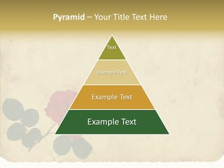 Old Blossom Stain PowerPoint Template