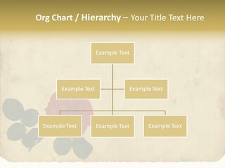 Old Blossom Stain PowerPoint Template