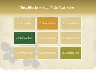 Old Blossom Stain PowerPoint Template