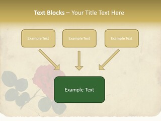 Old Blossom Stain PowerPoint Template