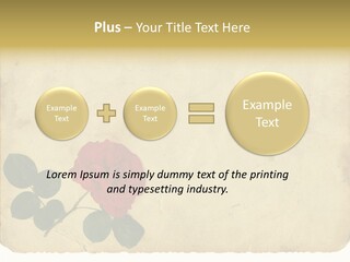 Old Blossom Stain PowerPoint Template