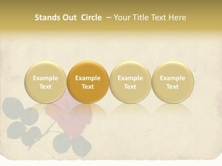 Old Blossom Stain PowerPoint Template