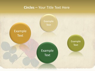 Old Blossom Stain PowerPoint Template