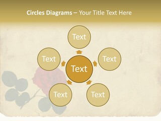 Old Blossom Stain PowerPoint Template