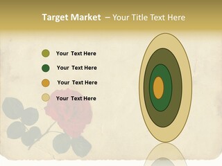 Old Blossom Stain PowerPoint Template