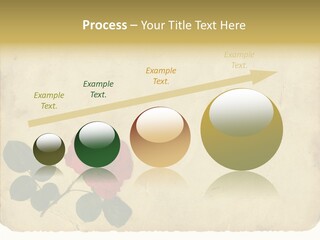 Old Blossom Stain PowerPoint Template
