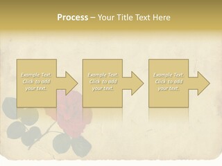 Old Blossom Stain PowerPoint Template