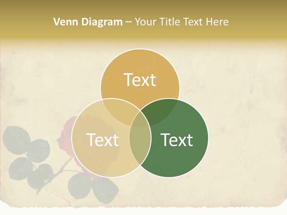 Old Blossom Stain PowerPoint Template