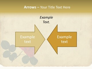 Old Blossom Stain PowerPoint Template