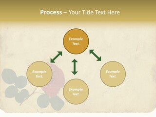 Old Blossom Stain PowerPoint Template