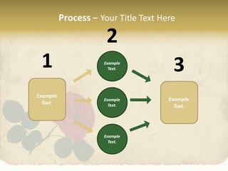 Old Blossom Stain PowerPoint Template