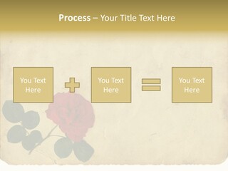 Old Blossom Stain PowerPoint Template
