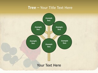 Old Blossom Stain PowerPoint Template