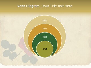 Old Blossom Stain PowerPoint Template