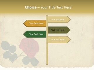 Old Blossom Stain PowerPoint Template